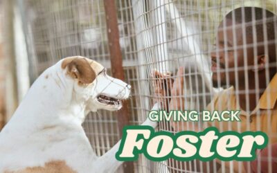 Giving Back: Introducing Our New Foster Program