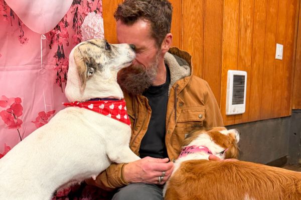 Former foster dogs Adela and Cannoli sharing kisses with a Camp Happy Paws counselor